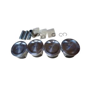 PISTONES KIT (466Q1)