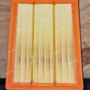 FILTRO DE AIRE (DESC)